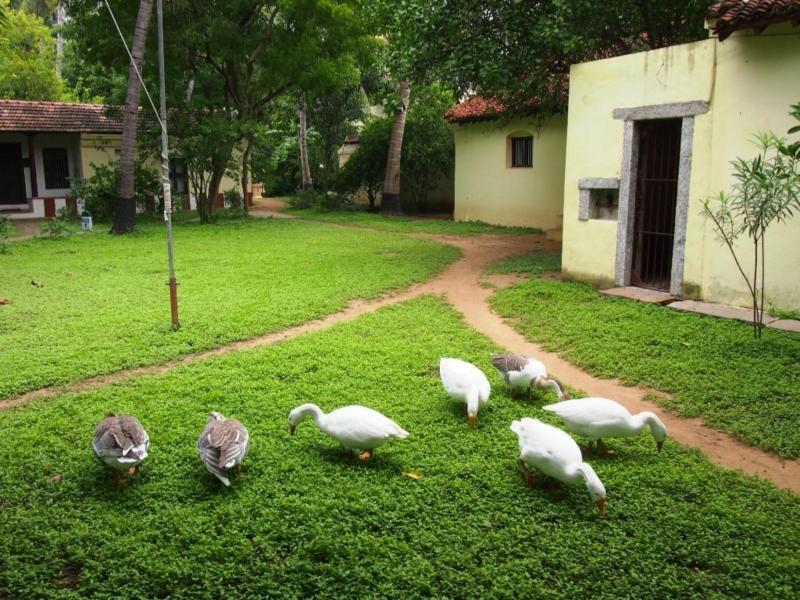 Indeco Hotels Swamimalai Kumbakonam Kültér fotó